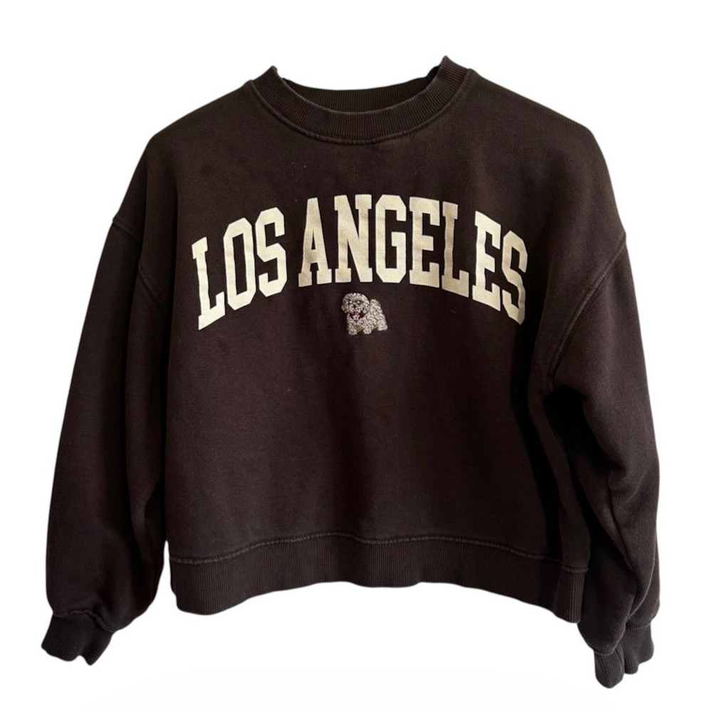 Zara Kids Los Angeles Embroidered Poodle Sweatshirt Brown Size 12-13Y | 0213